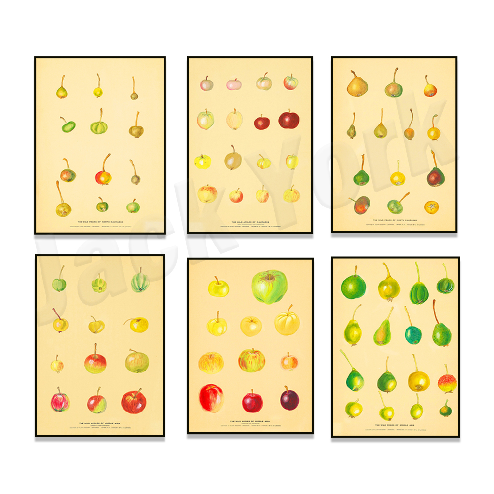 Fruit Kitchen Poster Vintage P – Plant Jackfruit recenzja i cena