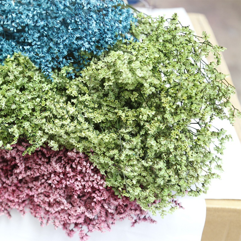 Naturalne świeże suszone zakon – Plant Parent Gifts recenzja i cena