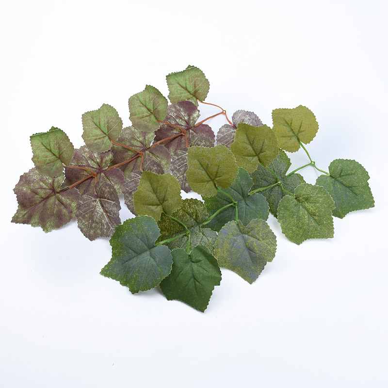 10 SZT. Jedwabne Liście Klonu  – Plant Parent Gifts recenzja i cena