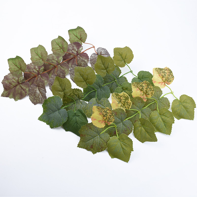 10 SZT. Jedwabne Liście Klonu  – Plant Parent Gifts recenzja i cena